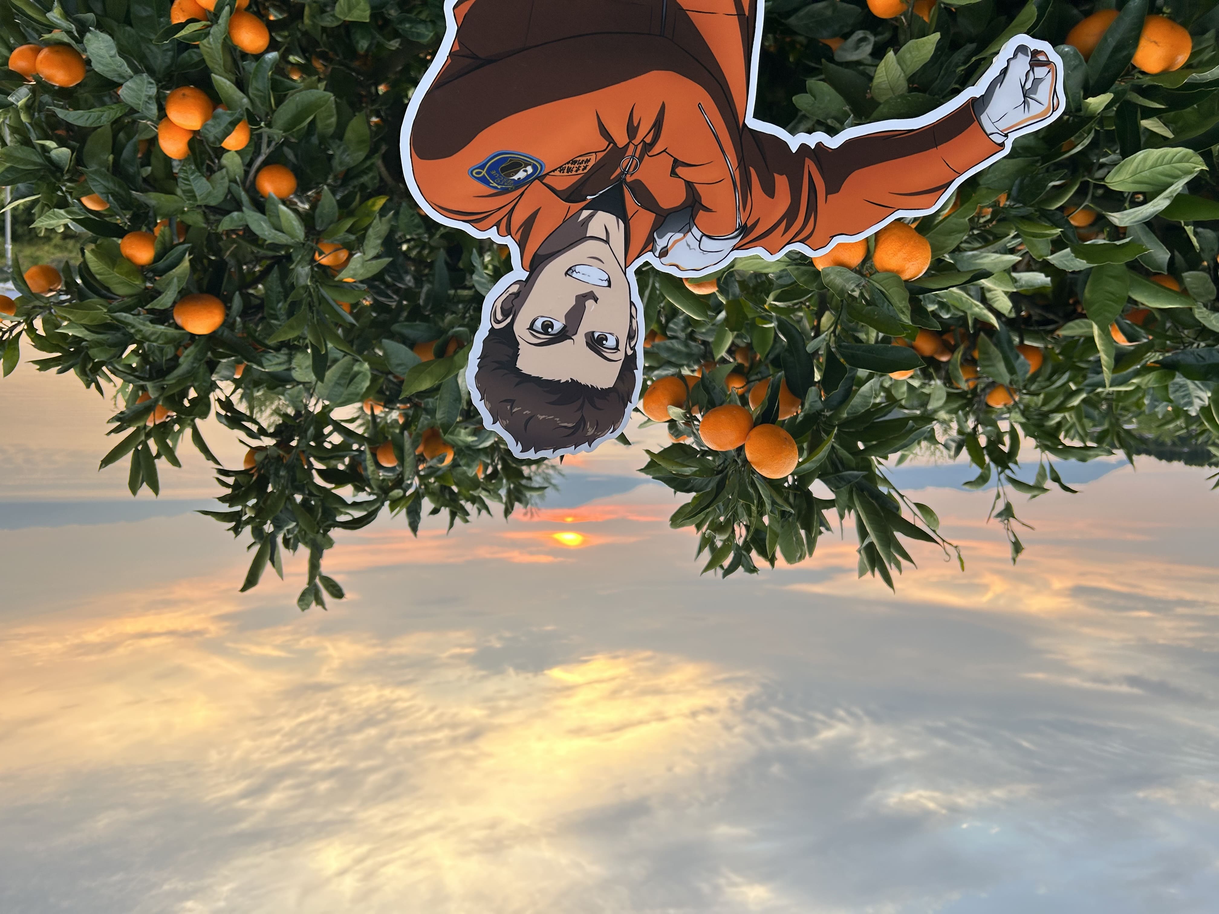 め組の大吾　救国のオレンジ　全巻初版、帯付、シュリンク未開封 め組の大吾 救国のオレンジ コミック 1-10巻セット (講談社) |本